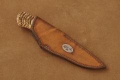 RM-1006-h