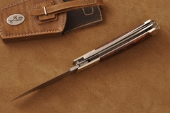RM-1028-d
