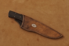 RM-1054-g