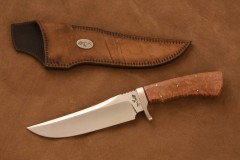 RM-1146-a