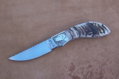 Rosa de Mayo 621