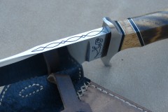 RM-669-d