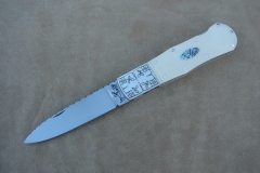 Rosa de Mayo 700