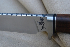 RM-784-f