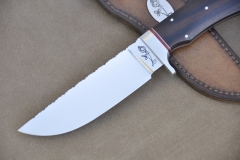 RM-869-d